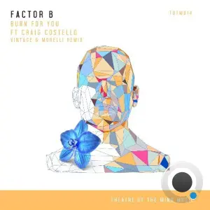 Factor B Ft. Craig Costello - Burn For You (Vintage & Morelli Remix) (2026)