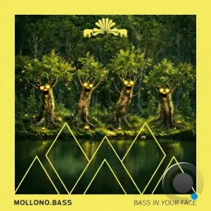 Mollono.Bass - Bass In Your Face (2026)