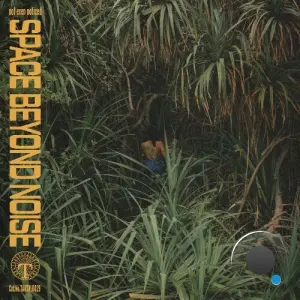 Not Even Noticed - Space Beyond Noise (2026)