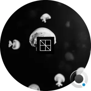 Stijn Vanmarsenille - Underneath The Sea Lies An Ocean Part 1 (2026)