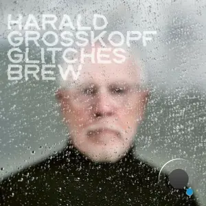Harald Grosskopf - Glitches Brew (2026)