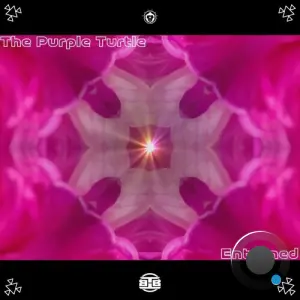 The Purple Turtle - Entwined (2026)