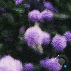 En:vy - Finite Heart (2026)