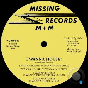 M plus M - I Wanna House! (2026)