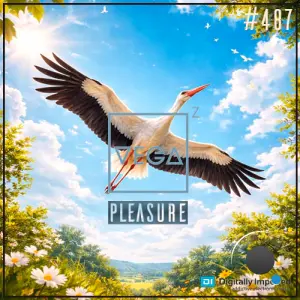 Vega Z - Pleasure 487 (2026-06-09)