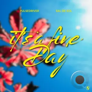 Pulsedriver & Sal De Sol - Its A Fine Day (2026)