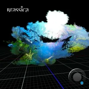 Brassica - CAGE (2026)