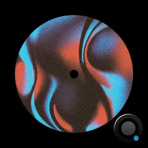 DJ Popup - Singo (2026)