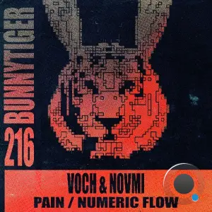Voch & NOVMI - Pain / Numeric Flow (2026)
