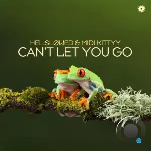 Hel:slowed & Midi Kittyy - Can't Let You Go (2026)
