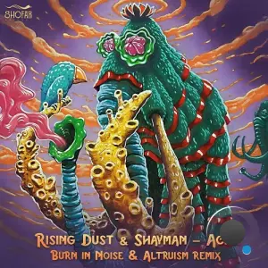 Rising Dust & Shayman - Acid (Burn In Noise & Altruism Remix) (2026)