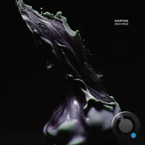 Adoption - High Pass (2026)