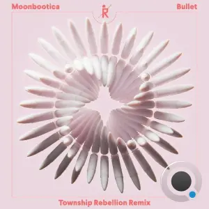 Moonbootica - Bullet (Township Rebellion Remix) (2026)