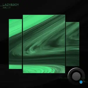 Lady&Boy - Naley (Melodic Techno Mix) (2026)