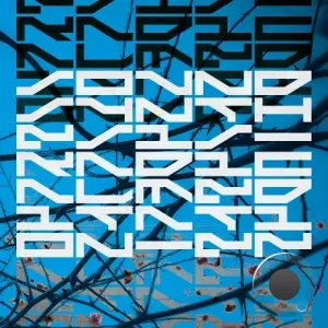 Sound Synthesis - Radical Meditation (2026)