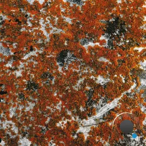 Border One - Spectral Tension (2026)