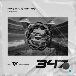 Pasha Shining - Frequency (2026)