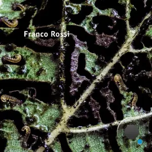 Franco Rossi - Vaalbara (2026)