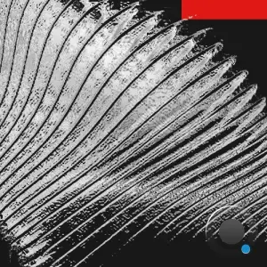 Danniel Selfmade - Fragments of Modular Mind (2026)