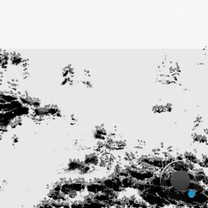 Bot1500 - The Black Sea (2026)