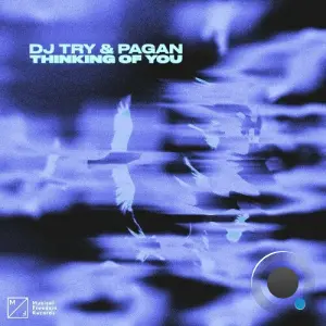 DJ Try & Pagan - Thinking Of You (2026)