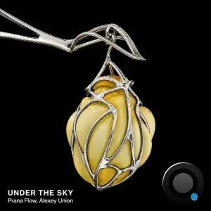 Alexey Union & Prana Flow Ft. Nuvel - Under The Sky (2026)