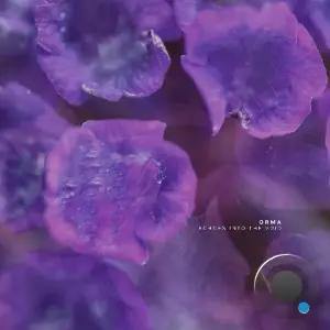 Orma (IT) - Echoes Into The Void (2026)