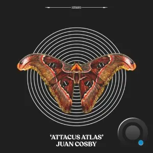 Juan Cosby - Attacus Atlas (2026)