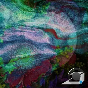 Tuulacult - Nacre (2026)