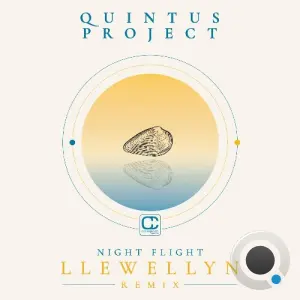 Quintus Project - Night Flight (Llewellyn Remix) (2026)