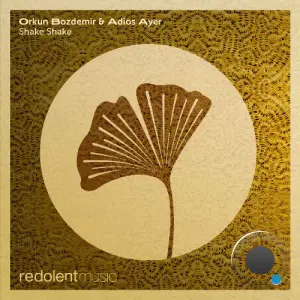 Orkun Bozdemir & Adios Ayer - Shake Shake (2026)