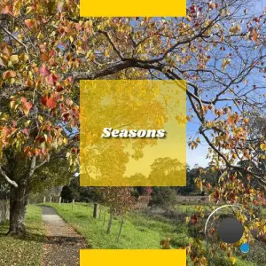 Kelzy - Seasons (2026)