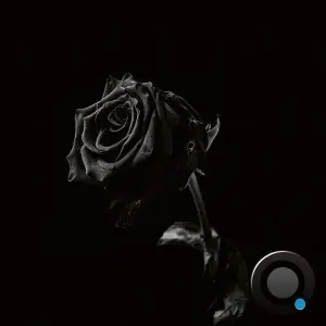 Viclan - Healing Wounds (2026)