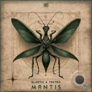 Elastic & Tektro - Mantis (2026)