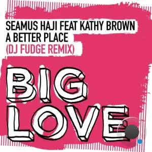 Seamus Haji feat Kathy Brown - A Better Place (DJ Fudge Remix) (2026)