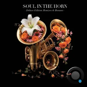 Soul In The Horn (Act 4) (Deluxe Edition REMIXES and BONUSES) (2026)