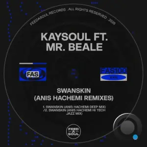 KaySoul x Mr. Beale - Swanskin (Anis Hachemi Remixes) (2026)
