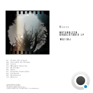 Biorc - Naturaleza Ondulatoria LP (2026)