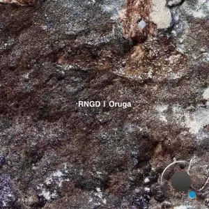 RNGD - Oruga (2026)