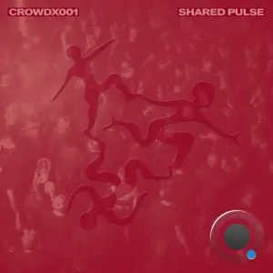 Shared Pulse (2026)