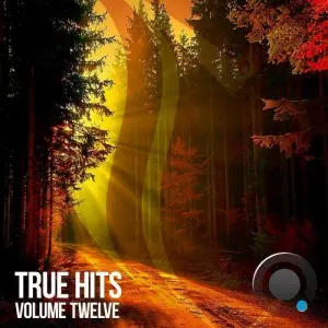 True Hits, Vol. 12 (2026)