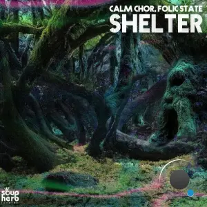 Calm Chor, Folic State - Shelter (2026)
