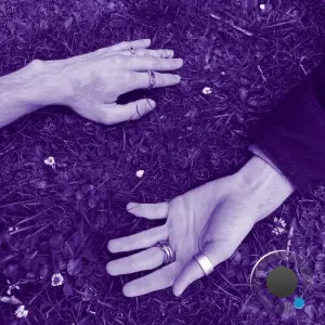 David Boning - Moonbathed and Sunkissed (2026)