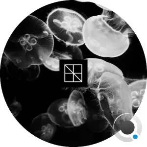 Stijn Vanmarsenille - Underneath The Sea Lies An Ocean Part 2 (2026)