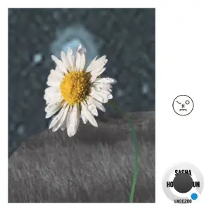 Sasha - Hollow Sun (2026)