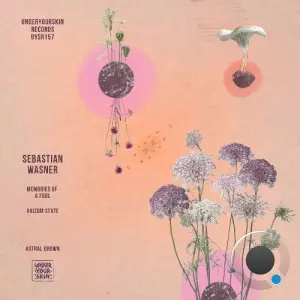 Sebastian Wasner - Memories of a Fool (2026)