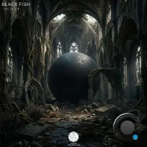 Black Fish - Taste (2026)