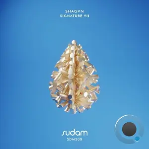 SHAGVN - Signature VII (2026)