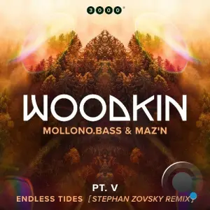 WOODKIN - Endless Tides (Stephan Zovsky Remix) (2026)