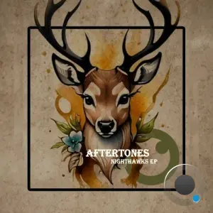 Aftertones - Nighthawks (2026)